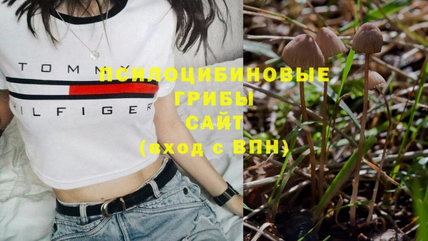круглые Заволжск
