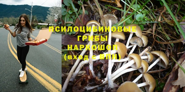 ГАЛЛЮЦИНОГЕННЫЕ ГРИБЫ Усолье-Сибирское