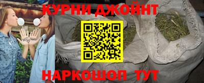 сатива Аргун