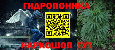 сатива Аргун