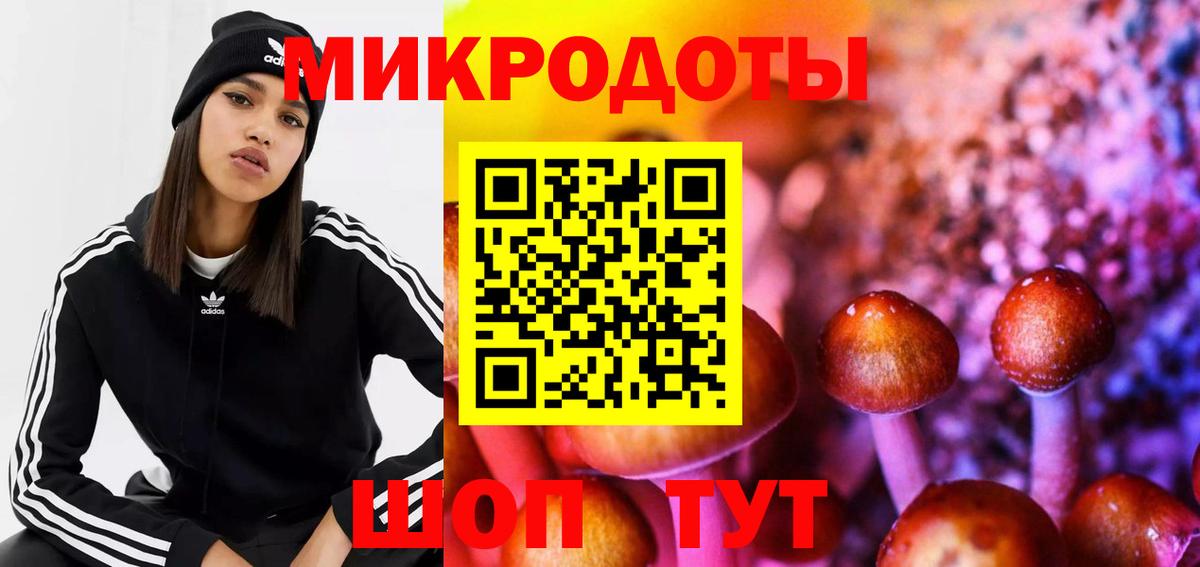 Псилоцибиновые грибы прущие грибы  Вход с VPN  Псилоцибиновые грибы Psilocybe  Балаково 